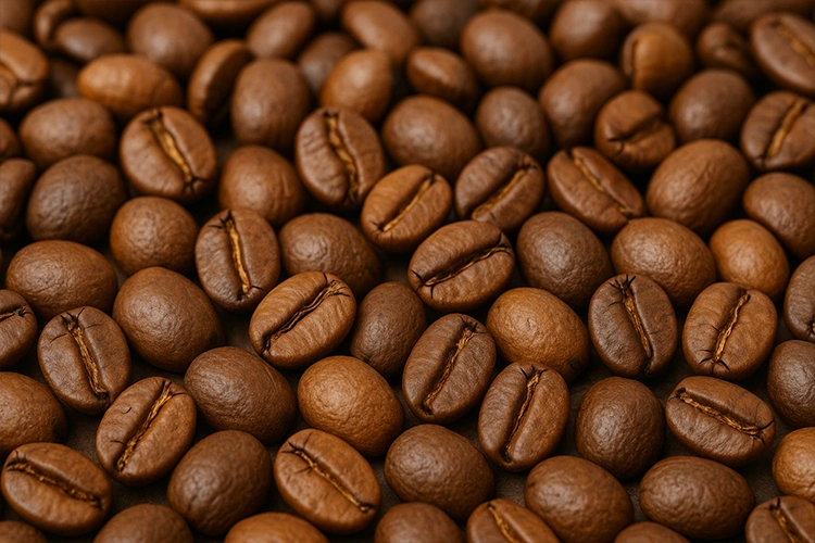 Jenis Biji Kopi Arabika Typica